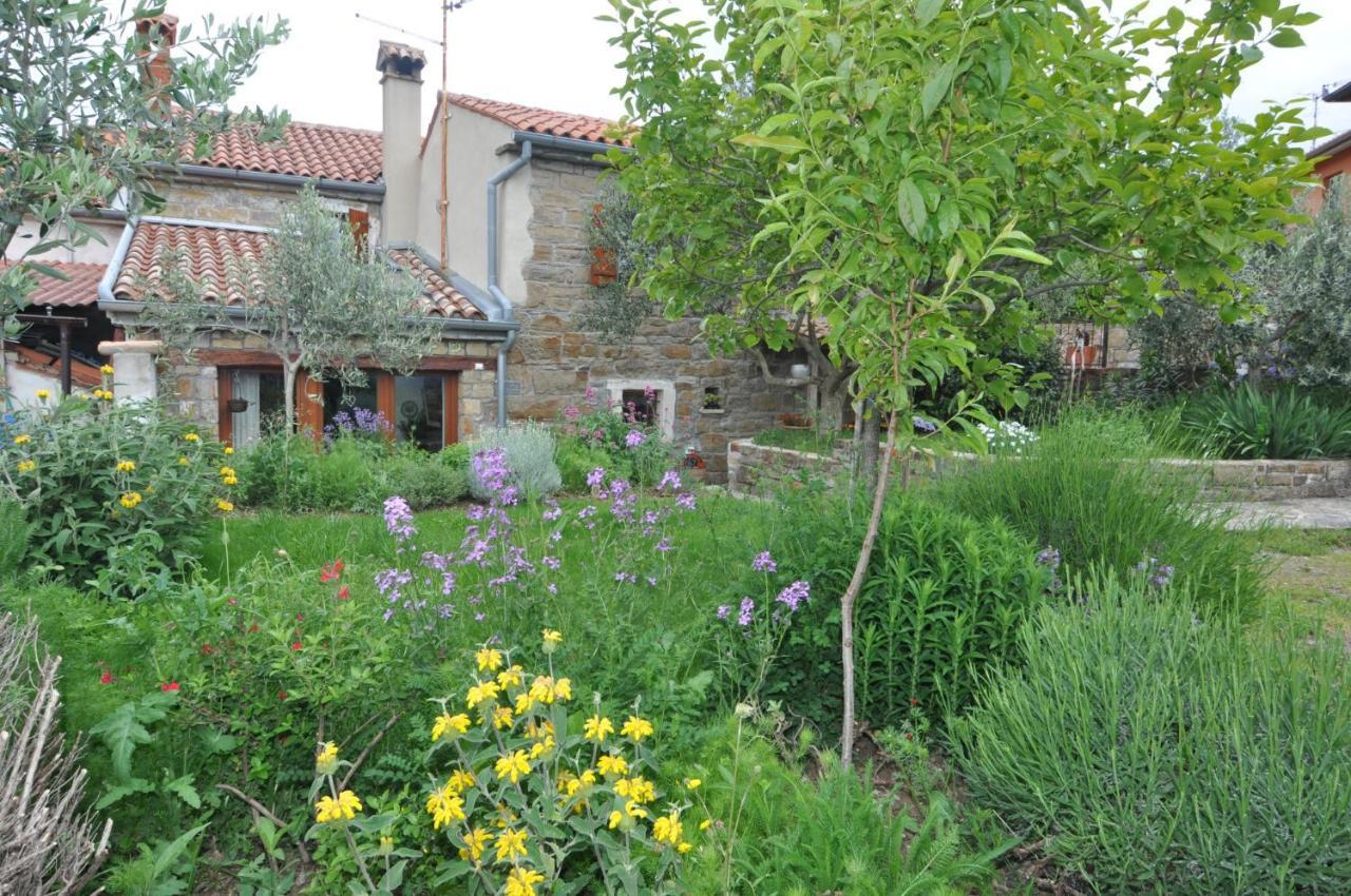 Istrian Stone House Villa Sečovlje Екстериор снимка