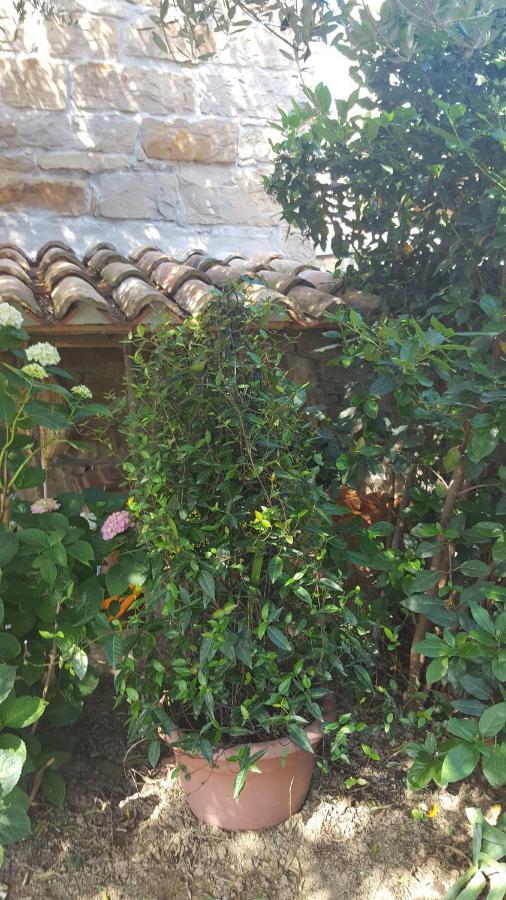 Istrian Stone House Villa Sečovlje Екстериор снимка