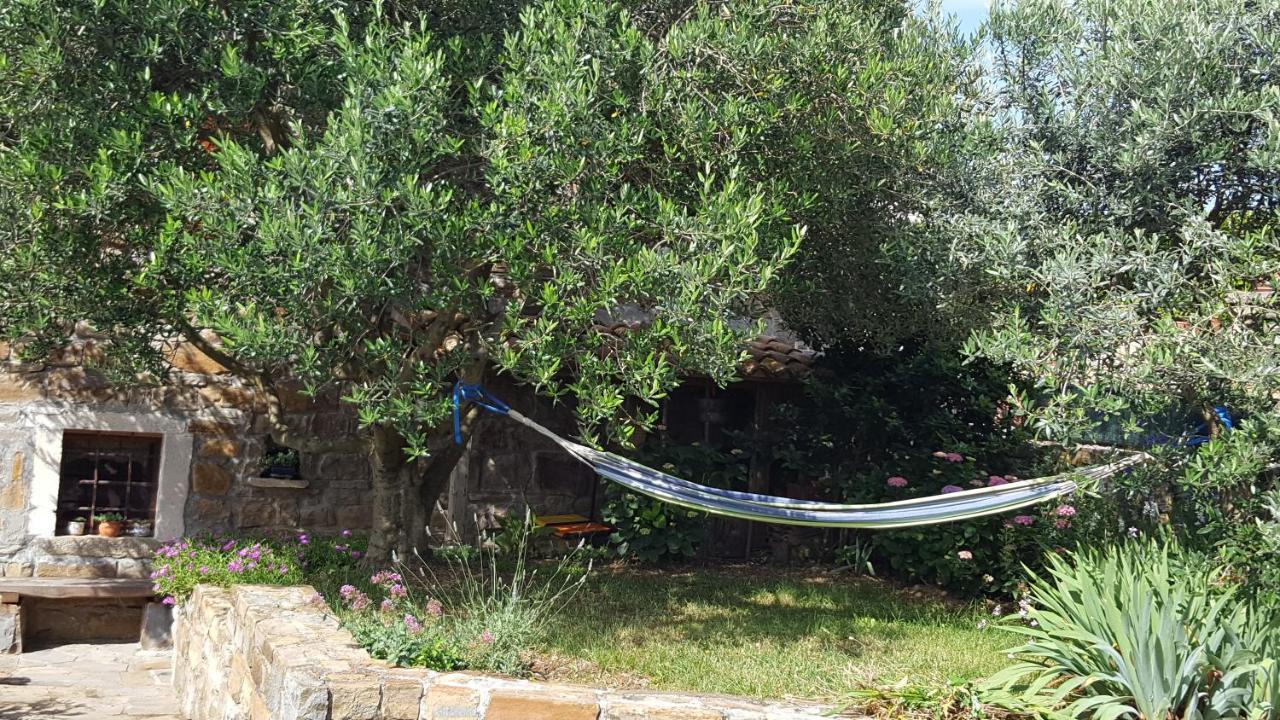 Istrian Stone House Villa Sečovlje Екстериор снимка