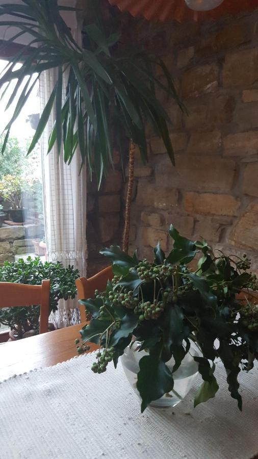 Istrian Stone House Villa Sečovlje Екстериор снимка